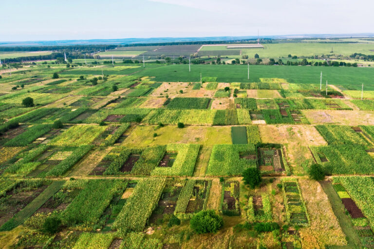 diviser un terrain en indivision