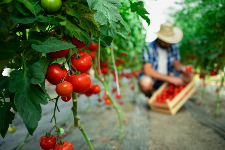 indivision agricole